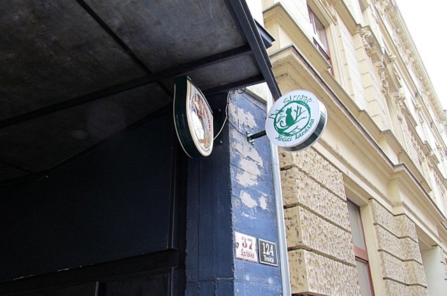 Koi kavrna Na strom, Brno / Cat caf