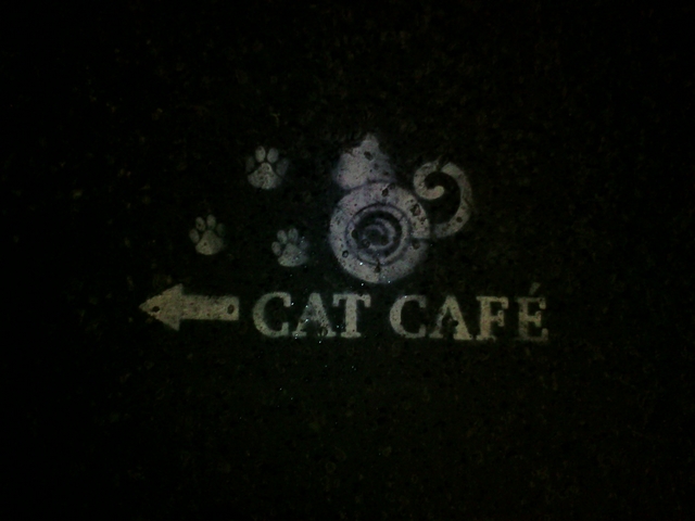 Koi kavrna Cat Caf & Gallery, Budape