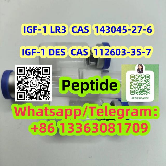 Long arginine 3-IGF-1 Peptide CAS 143045-27-6 IGF-1 LR3 LR3-IGF-1