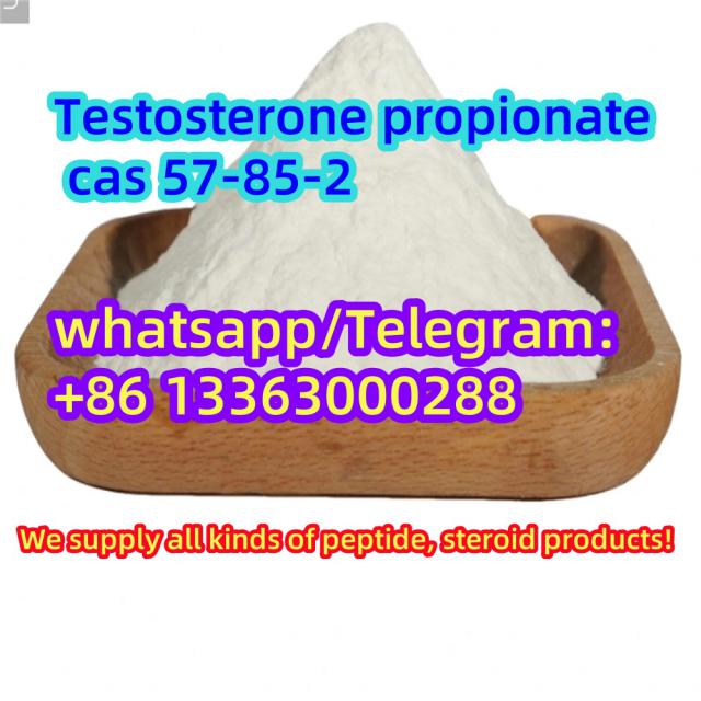 High quality  Testosterone propionate cas 57-85-2