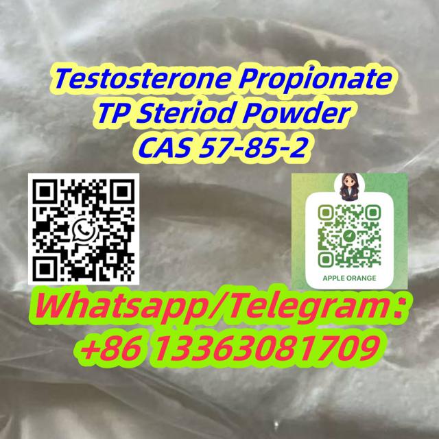 Testosterone Propionate Steriod Powder CAS 57-85-2