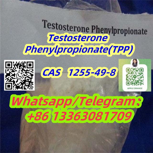 Testosterone Phenylpropionate Steroid Powder CAS 1255-49-8