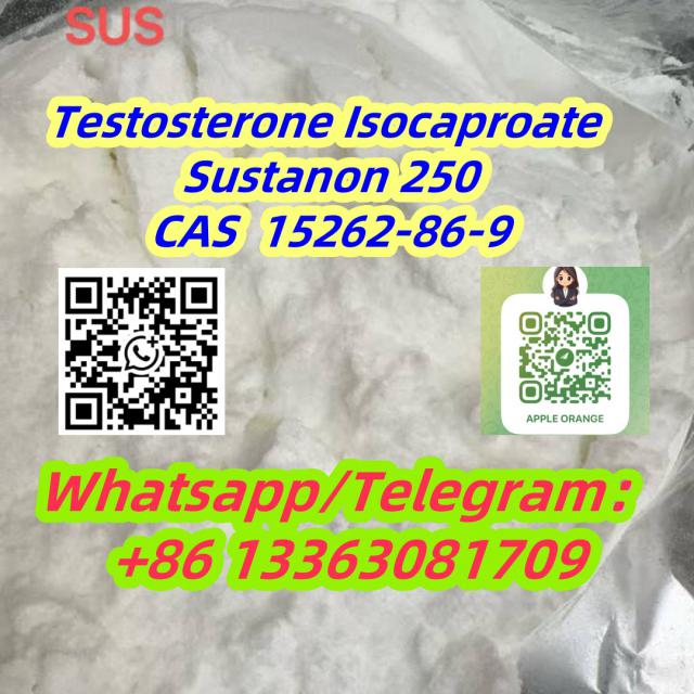 Sustanon 250 (TP/TPP/TiC/TD) Steriod Powder CAS 57-85-2 1255-49-8