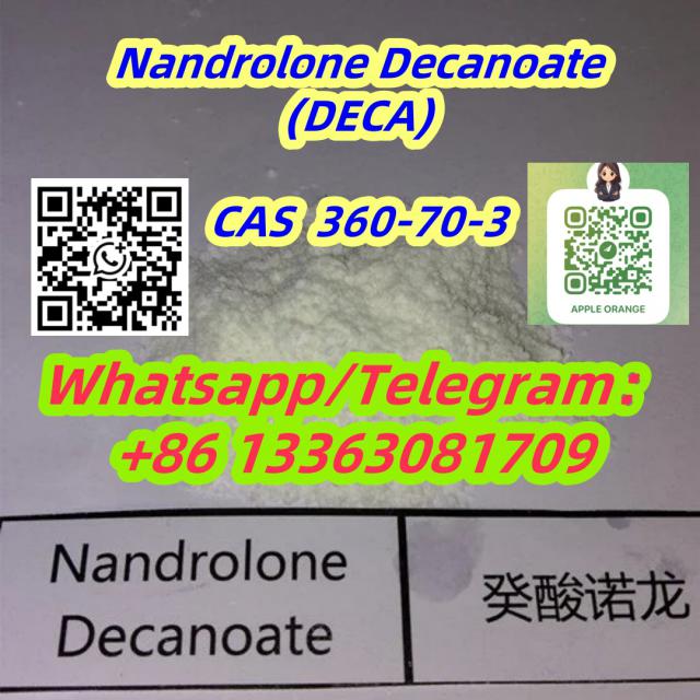 NANDROLONE DECANOATE(DECA) Steriod Powder CAS 360-70-3
