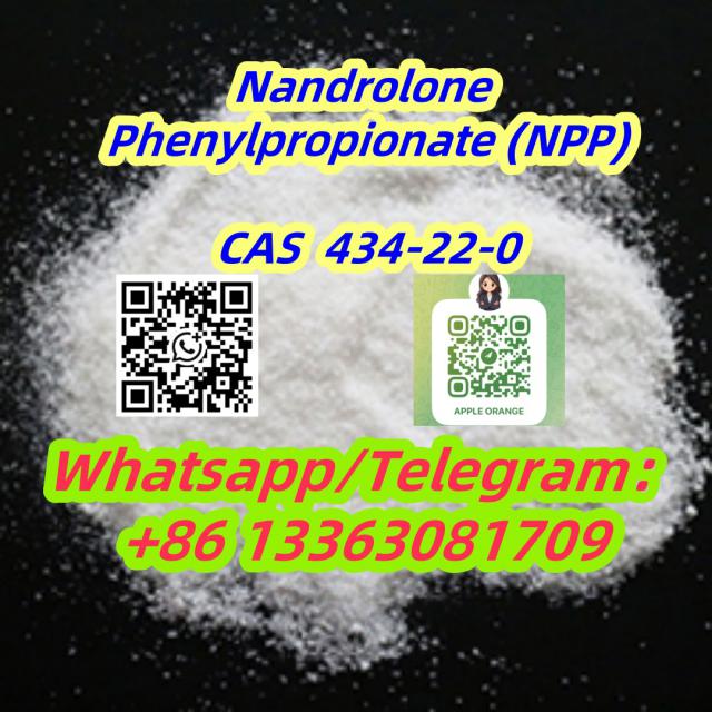 Nandrolone Phenpropionate(NPP) Steriod Powder CAS 62-90-8