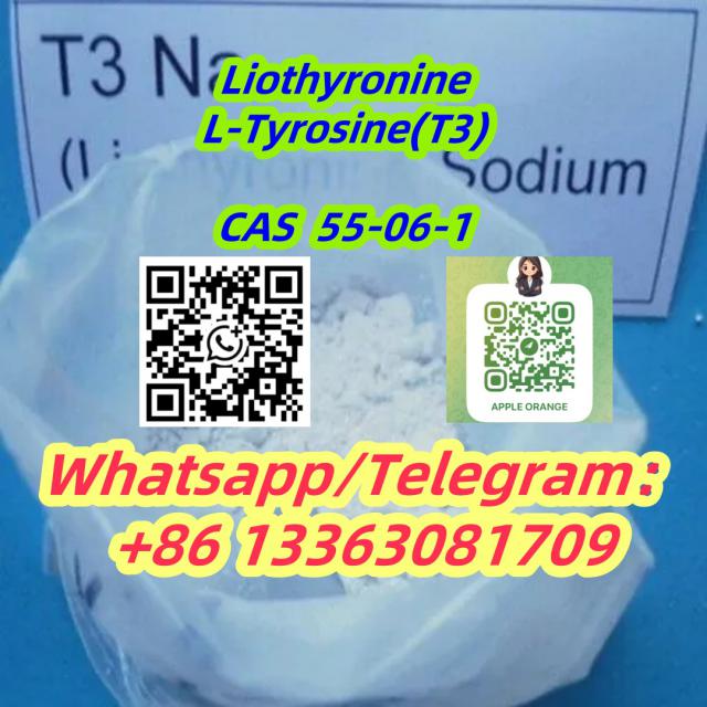 L-thyronine (T3) Liothyronine Steriod Powder CAS 6893-02-3 55-06-1