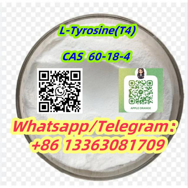 L-Tyrosine T4 Steriod Powder CAS 60-18-4