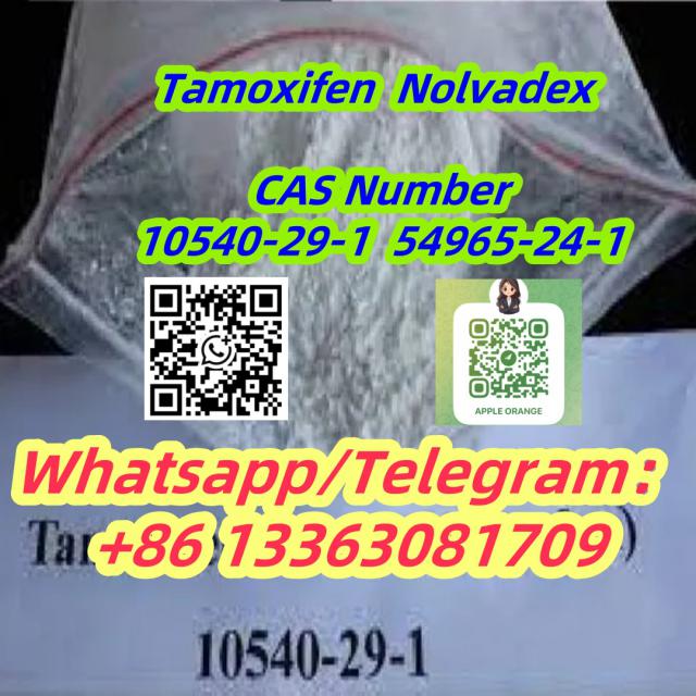 Tamoxifen Nolvadex Steriod Powder CAS 10540-29-1 54965-24-1