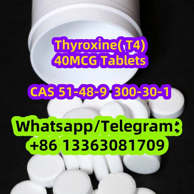 L-thyroxine (T4) 40MCG*100pcs Tablets/Bottle CAS 51-48-9 300-30-1