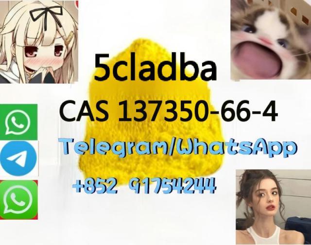 137350-66-4