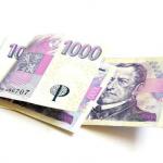 Okam�it� a efektivn� p�j�ka