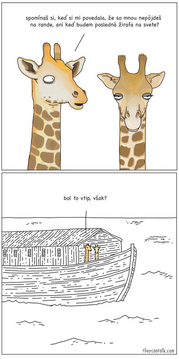 Žirafy :-)