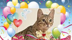 Dnes slavm u 5. narozeniny &#127874;&#127873;&#129395;
