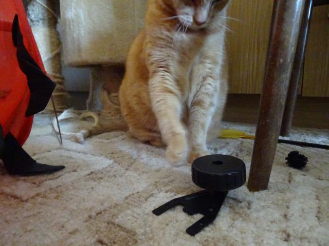 Zkusm do toho ouchnout packou, uvidm, co se stane.