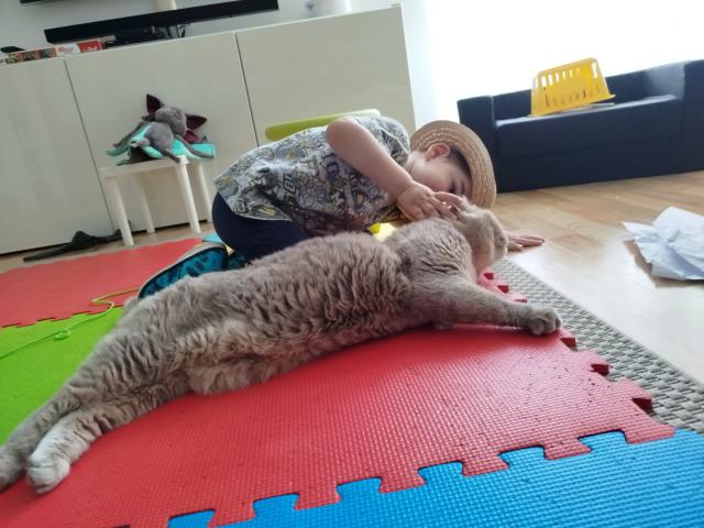 Ty jsi moje zlatko a v jak mm rda tv mazlen&#128513; Bor a ty pukni rlivost! Kluk je prost mj!
