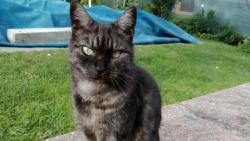 Kontroluje, jak d�da mak� na zahrad�.-)