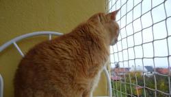 Jak to říkal ten děda Komárek : " a chč..e a chč..e a chč..e." No nic , půjdu domů a zalezu do postele. Kluci už v ní jsou.