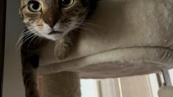 Volala si večeře? A co se bude podávat? :-)