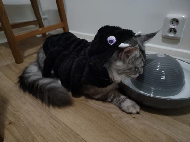 Nevku, mn ho oblkla taky