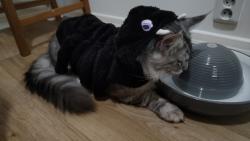 Nevíku, mně ho oblíkla taky