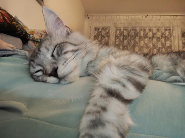 Panika, nejlep msto na span