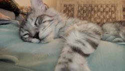 Panička, nejlepší místo na spaní