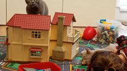 Jaká saň! A kdo pomazlí můj kožuch?