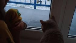 Juu co to tam je? e by snh