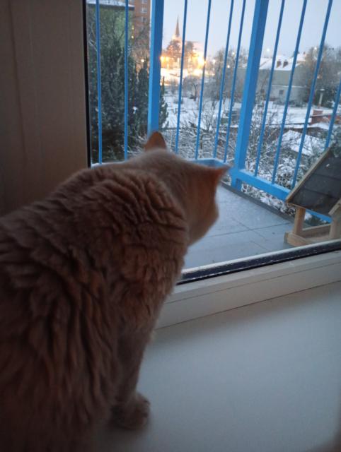 Tak to si pokm na ltka