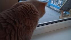 Tak to si pokm na ltka