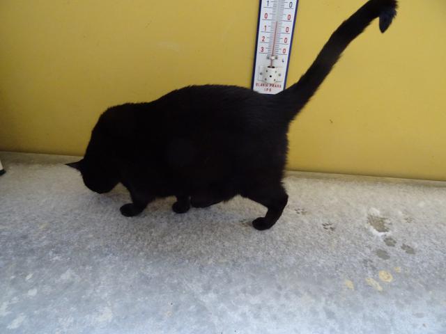 Do rna se tady zase objevilo to hnusn mokr a studen  fj.