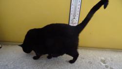 Do rna se tady zase objevilo to hnusn mokr a studen  fj.