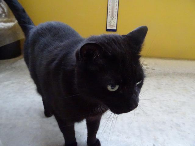 Tak jsem tam jenom napsal, e jsem tady byl a u jdu dom, do tepla.