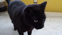 Tak jsem tam jenom napsal, e jsem tady byl a u jdu dom, do tepla.