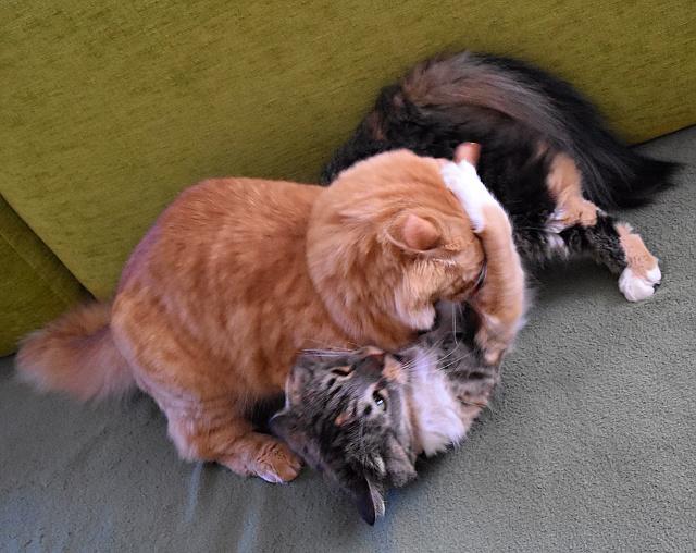 1/3 Jendo, j se ale nechci prt.