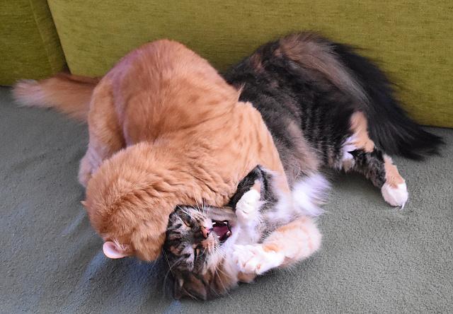 2/3 Renato, dlej nco! Jenda m tr.