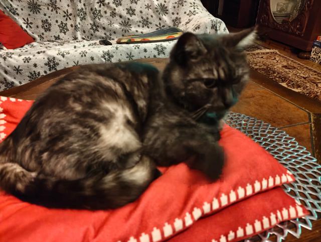 Princezna na hrku.-)