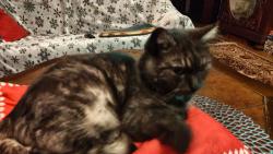 Princezna na hrku.-)