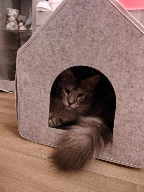 Nevm, co vy dva tady ete, tohle je mj bejvk!