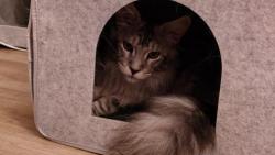 Nevm, co vy dva tady ete, tohle je mj bejvk!