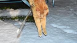 Do snhu se bezva ske.