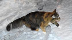 J nejsem takov pods jako Jenda, ale snh si taky uvm.