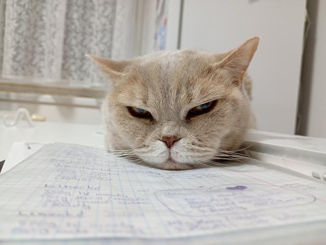 Mm dvounoh pomhat? A n budu se tu jen vlet a sem tam nco zobnu.