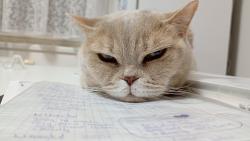 Mm dvounoh pomhat? A n budu se tu jen vlet a sem tam nco zobnu.