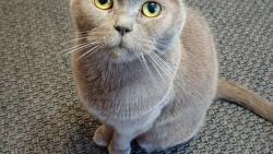 Krsnou adventn nedli pejeme &#127794;