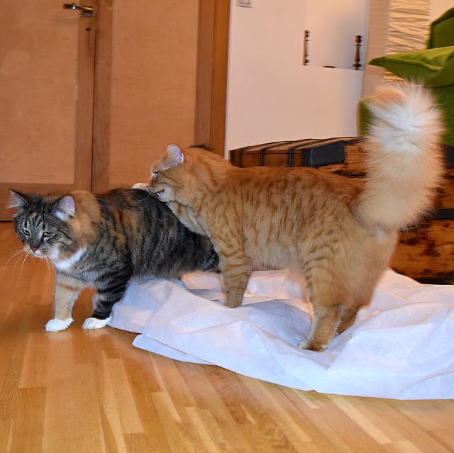 Tenhle hadr jsem Renat� �lohnul j�, ty jsi mi necht�la pom�hat, tak te� si jdi lehnouti na oby�ejnou podlahu.