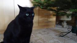 Tak stromek jsem zasadil do stojanu a co te� ?