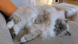 Je sv�tek, tak�e se m� po��dn� odpo��vat!