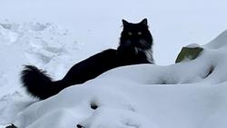 L�t�n� ve sn�hu je moc fajn :-)