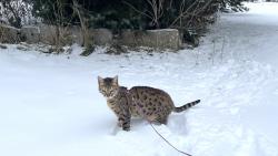 Kone�n� n�s vzala ven :-)